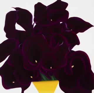 Phenomenological Happiness - 심미경