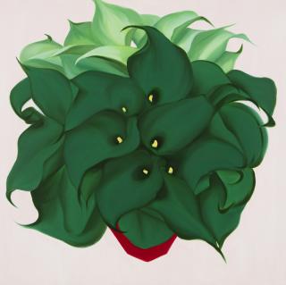 Phenomenological Happiness - 심미경