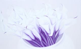 Phenomenological Happiness - 심미경