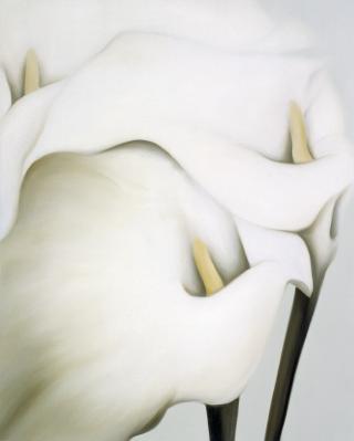 Phenomenological Happiness(현상학적 행복) - 심미경