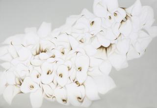 Phenomenological Happiness(현상학적 행복) - 심미경