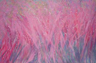 비밀의 화원 - 서은혜