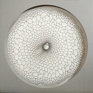 Seed M-015 - 차경진