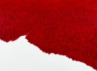 붉은갯벌 - 한임수