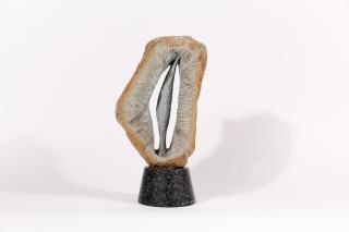 숲속정원-나무 - 노준진