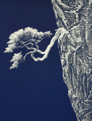 한설송 22-7 - 조광기