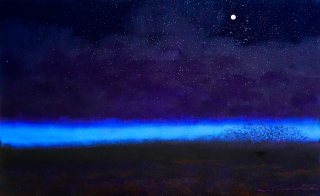 붉은 갯벌의 밤하늘 - 한임수