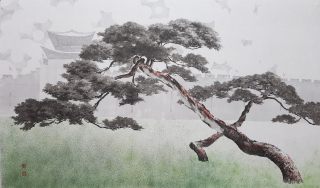 Pine Tree-올려보기 - 신은섭