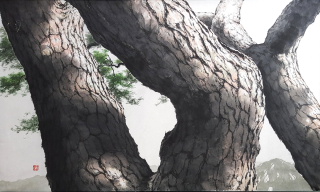 올려보기 - 신은섭